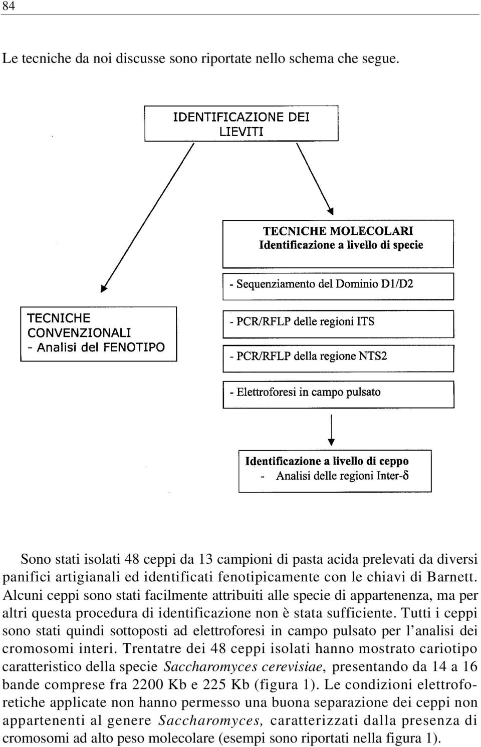 Alcuni ceppi sono stati facilmente attribuiti alle specie di appartenenza, ma per altri questa procedura di identificazione non è stata sufficiente.