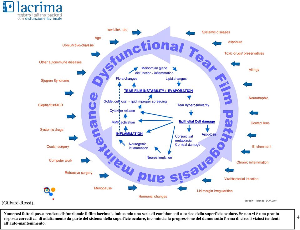 Epithelial Cell damage Contact lens Systemic drugs Ocular surgery INFLAMMATION Neurogenic inflammation Apoptosis Conjunctval metaplasia Corneal damage Environment Computer work Neurostimulation