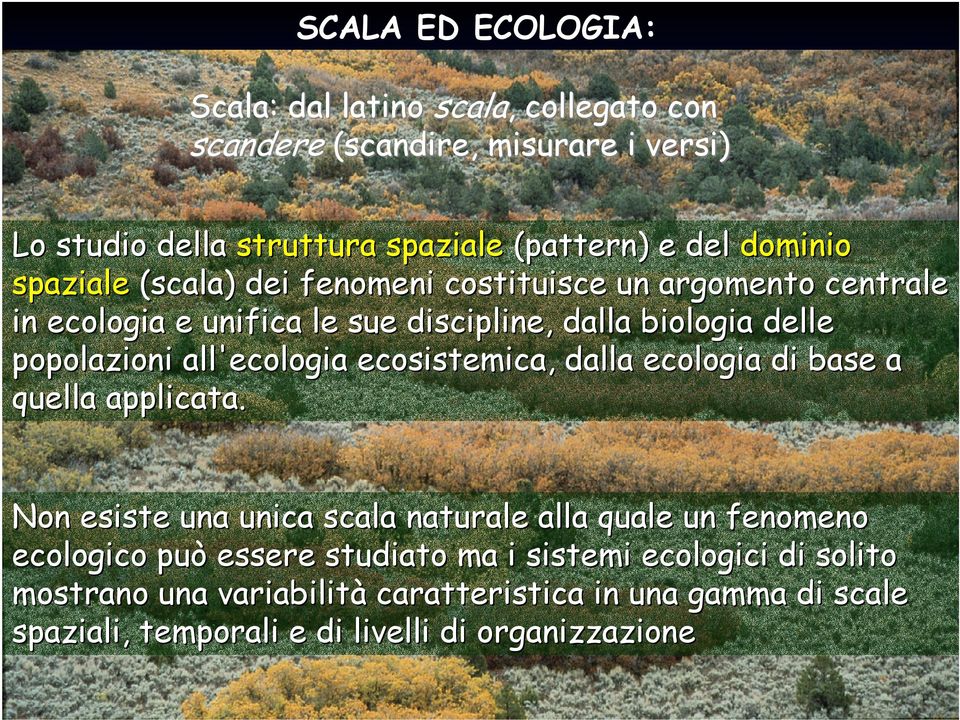 all'ecologia ecosistemica, dalla ecologia di base a quella applicata.