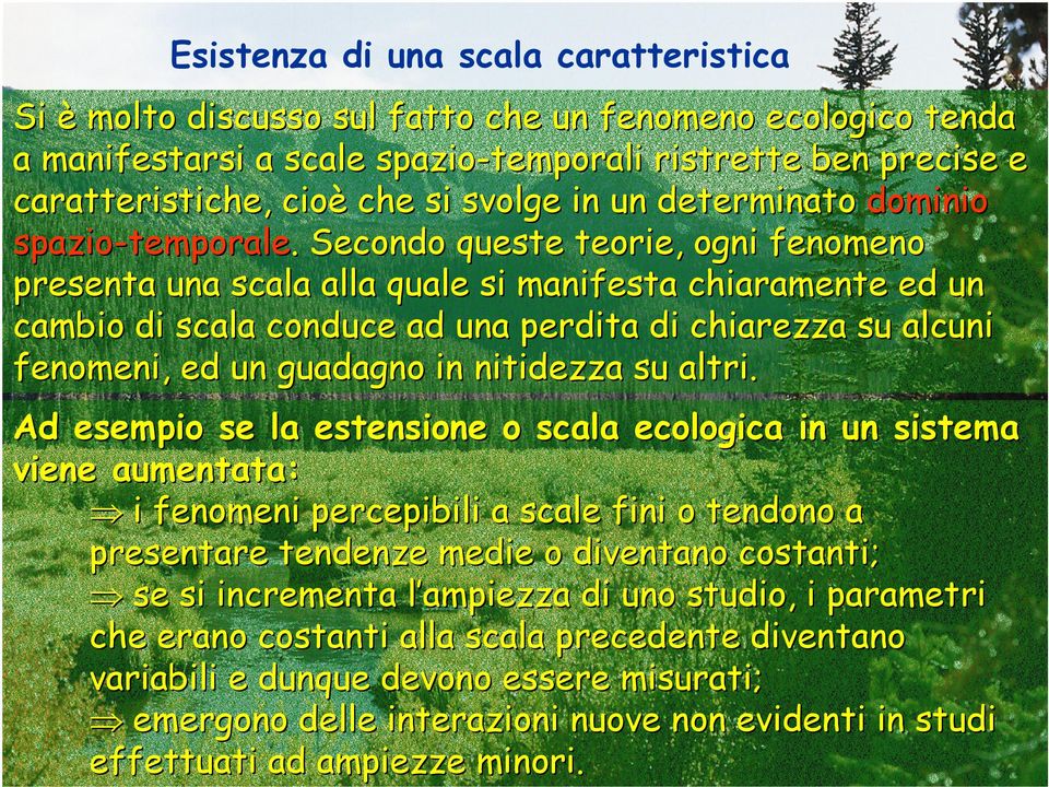 . Secondo queste teorie, ogni fenomeno presenta una scala alla quale si manifesta chiaramente ed un cambio di scala conduce ad una perdita di chiarezza su alcuni fenomeni, ed un guadagno in nitidezza