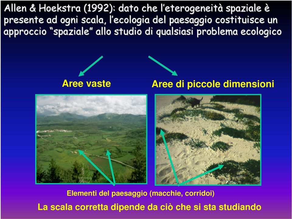 qualsiasi problema ecologico Aree vaste Aree di piccole dimensioni Elementi del