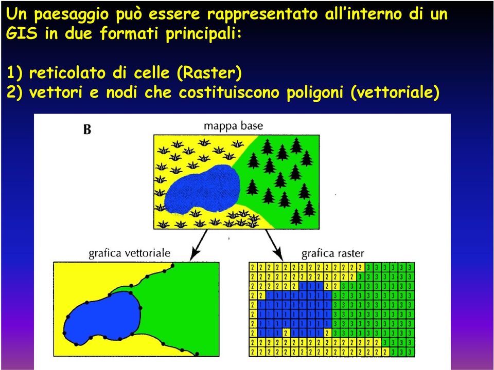 principali: 1) reticolato di celle (Raster)