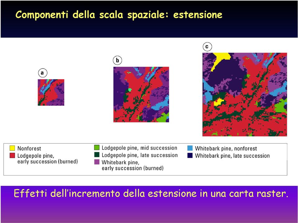 Effetti dell incremento