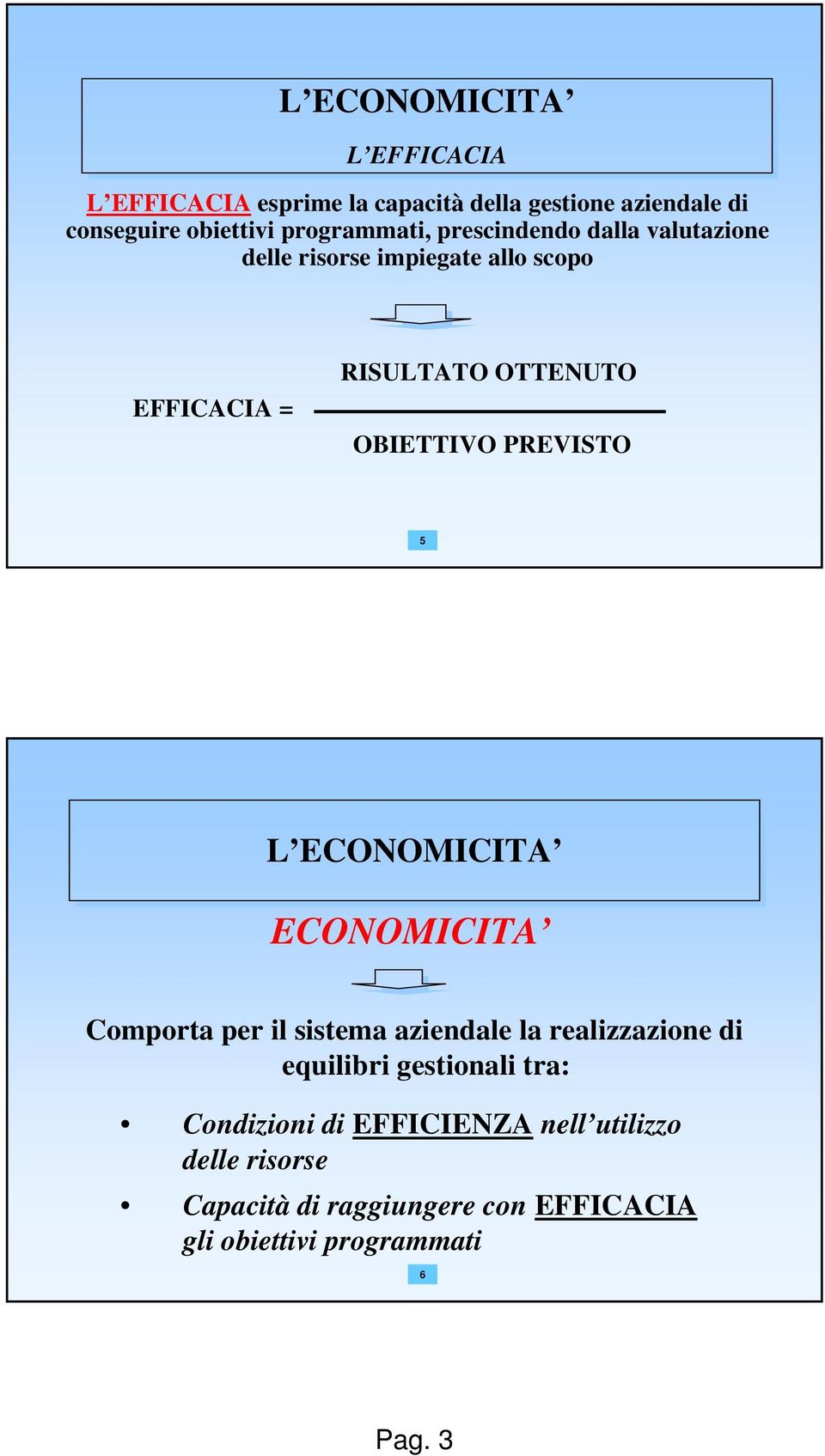 PREVISTO 5 ECONOMICITA Comporta per il sistema aziendale la realizzazione di equilibri gestionali tra: