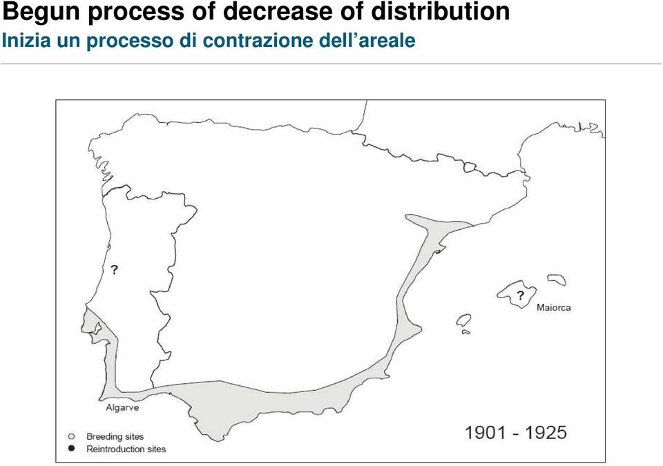 distribution Inizia