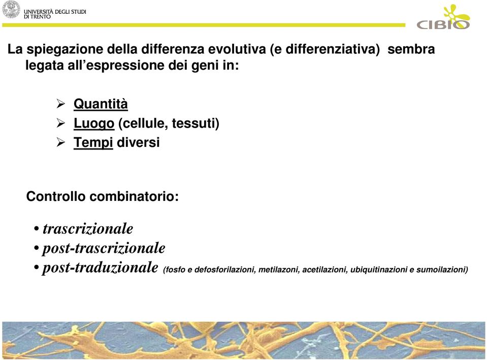 Controllo combinatorio: trascrizionale post-trascrizionale post-traduzionale