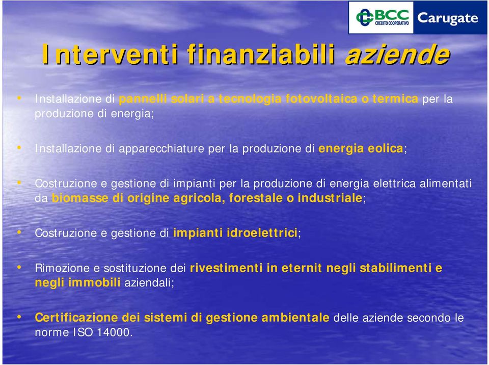 biomasse di origine agricola, forestale o industriale; Costruzione e gestione di impianti idroelettrici; Rimozione e sostituzione dei rivestimenti