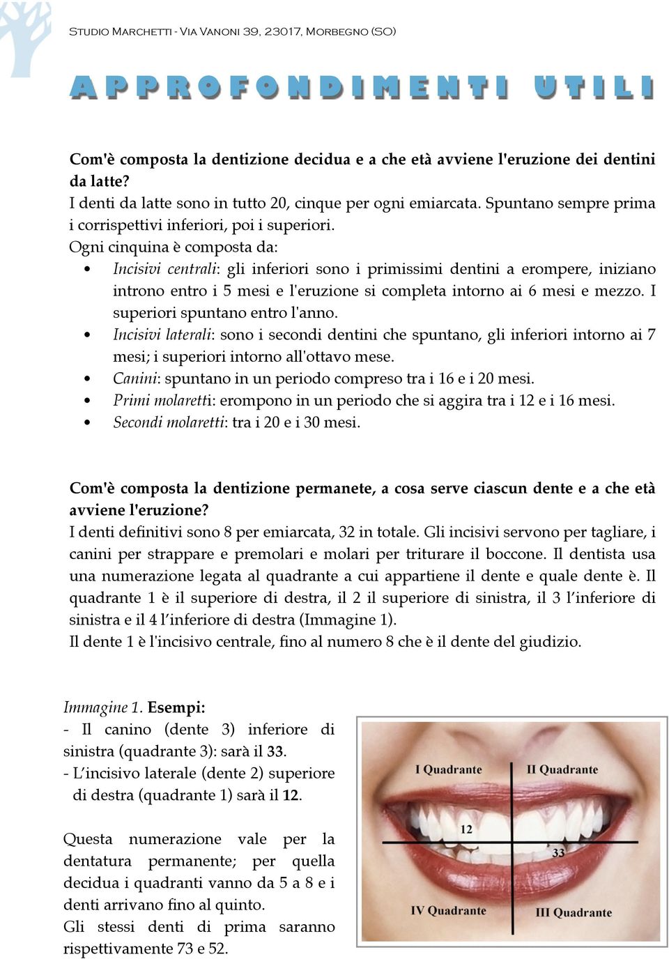 Ogni cinquina è composta da: Incisivi centrali: gli inferiori sono i primissimi dentini a erompere, iniziano introno entro i 5 mesi e l'eruzione si completa intorno ai 6 mesi e mezzo.