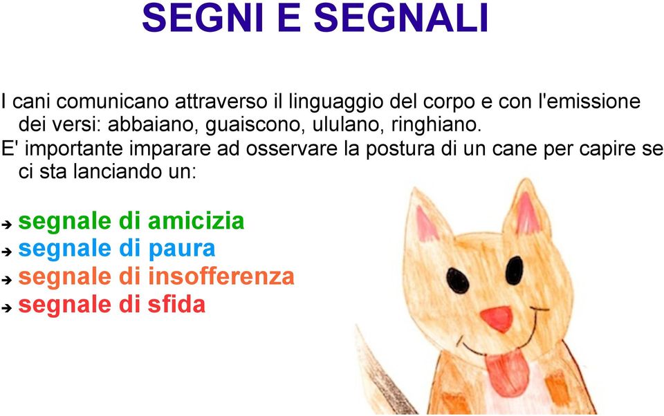 E' importante imparare ad osservare la postura di un cane per capire se ci