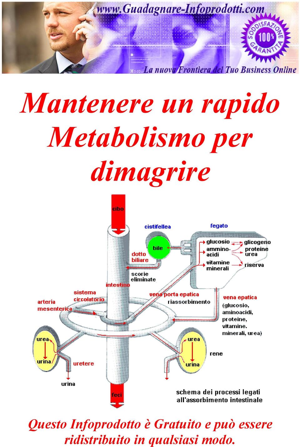 Questo Infoprodotto è Gratuito