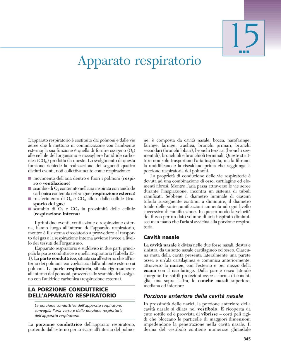 Lo svolgimento di questa funzione richiede la realizzazione dei seguenti quattro distinti eventi, noti collettivamente come respirazione: movimento dell aria dentro e fuori i polmoni (respiro o