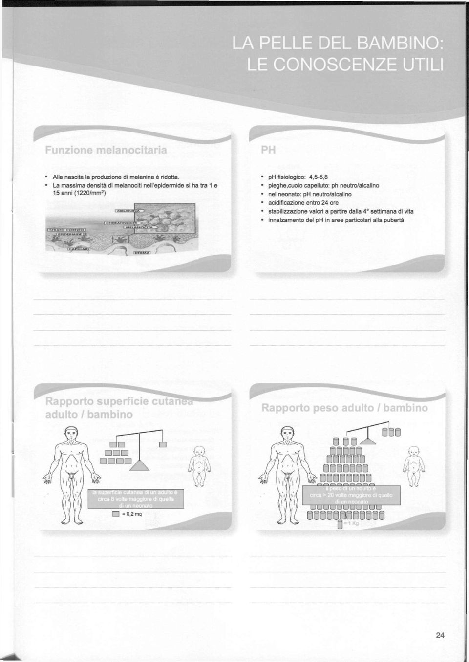 4,5-5,8 pieghe,cuoio capelluto: ph neutro/alcalino nel neonato: ph neutro/alcalino acidificazione entro 24