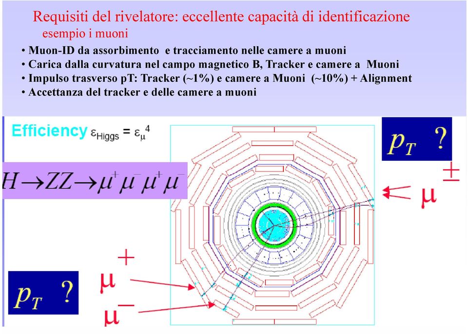 nel campo magnetico B, Tracker e camere a Muoni Impulso trasverso pt: Tracker