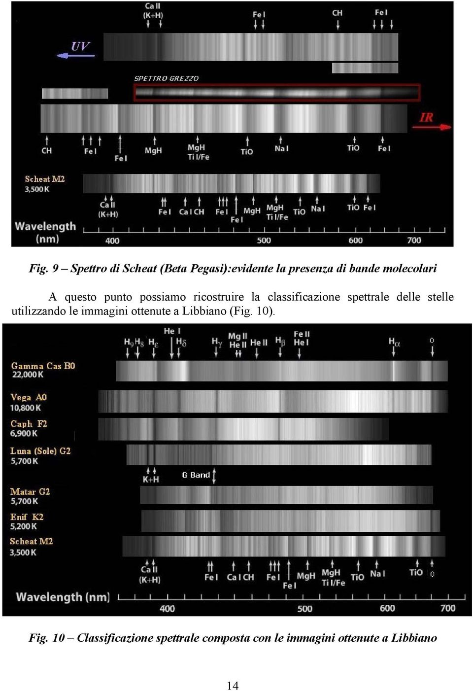spettrale delle stelle utilizzando le immagini ottenute a Libbiano (Fig.