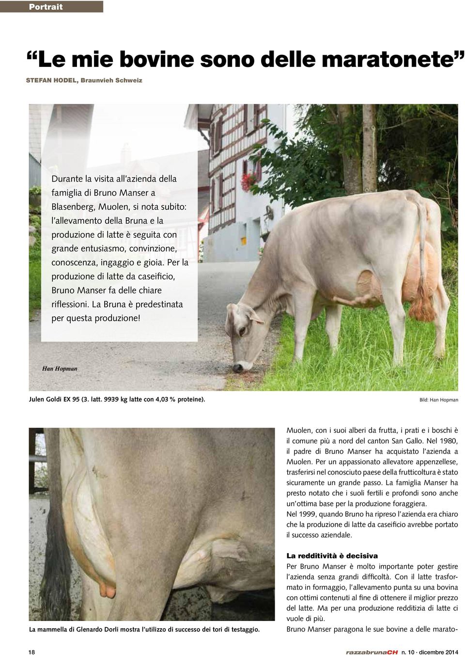 La Bruna è predestinata per questa produzione! Julen Goldi EX 95 (3. latt. 9939 kg latte con 4,03 % proteine).