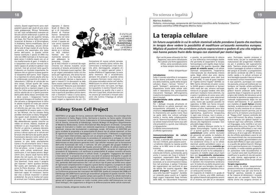 Scienziati di Boston e di Birmingham, in Alabama, hanno modificato, con la tecnica di Yamanaka, alcune cellule della cute di topi malati di una forma di anemia che assomiglia alla talassemia dell