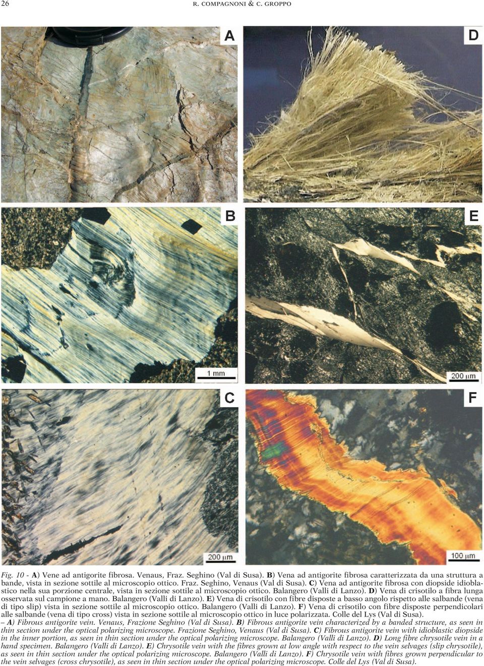 C) Vena ad antigorite fibrosa con diopside idioblastico nella sua porzione centrale, vista in sezione sottile al microscopio ottico. Balangero (Valli di Lanzo).