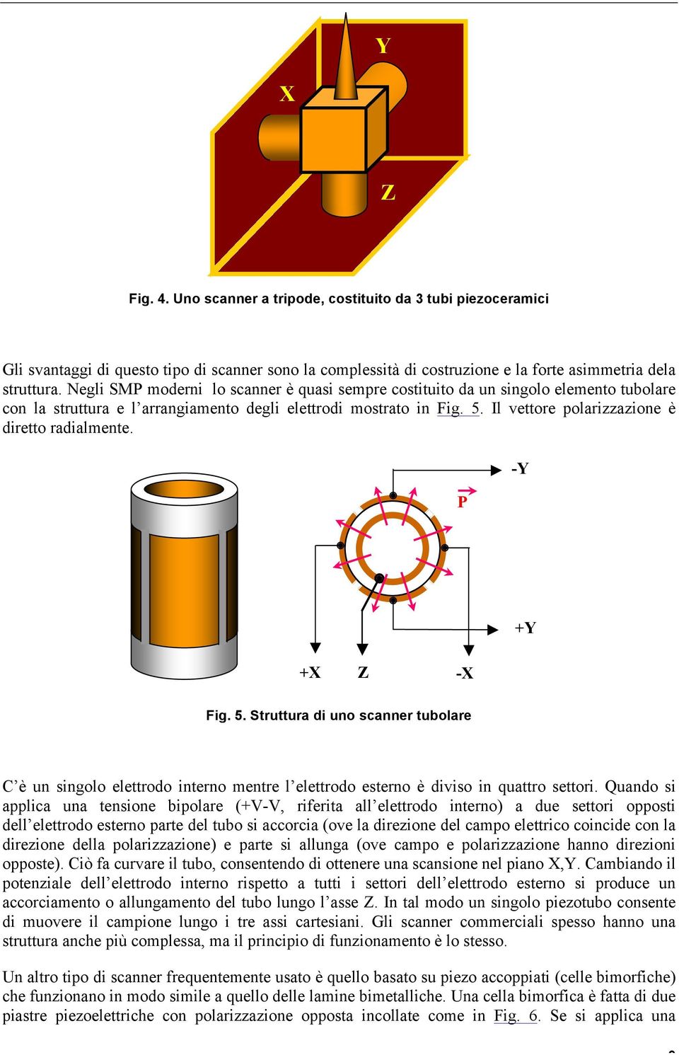 Il vettore polarizzazione è diretto radialmente. P -Y 1.1. Р +Y +X Z -X Fig. 5.