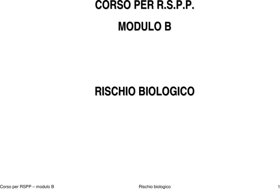 P. MODULO B RISCHIO