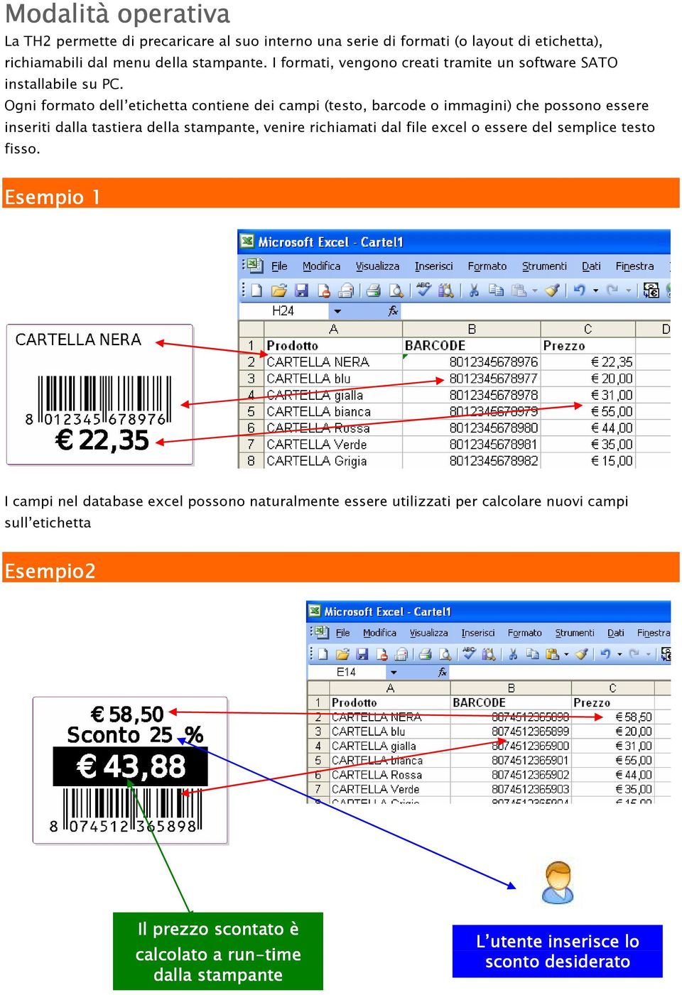 Ogni formato dell etichetta contiene dei campi (testo, barcode o immagini) che possono essere inseriti dalla tastiera della stampante, venire richiamati dal file