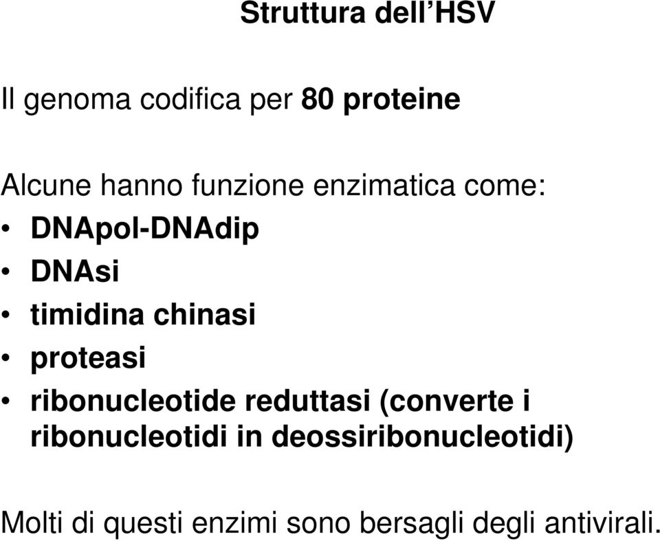 proteasi ribonucleotide reduttasi (converte i ribonucleotidi in