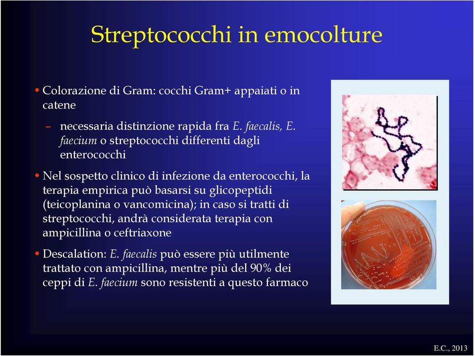 glicopeptidi (teicoplanina o vancomicina); in caso si tratti di streptococchi, andrà considerata terapia con ampicillina o ceftriaxone