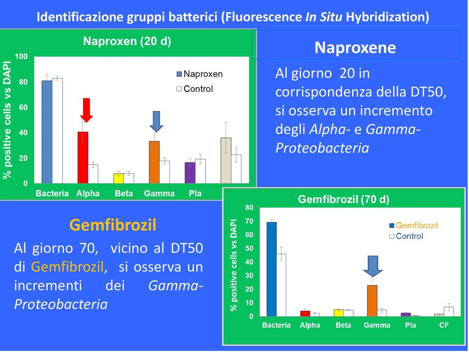 incremento degli Alpha- e Gamma- Proteobacteria Gemfibrozil Al giorno