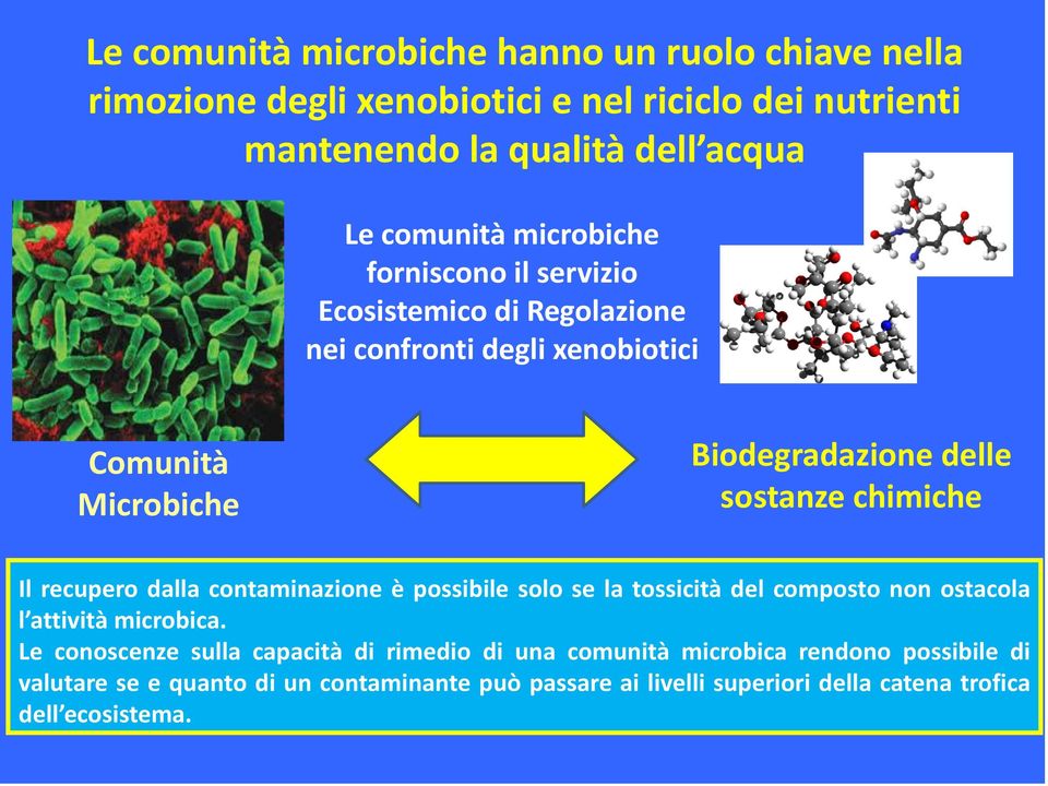 Il recupero dalla contaminazione è possibile solo se la tossicità del composto non ostacola l attività microbica.