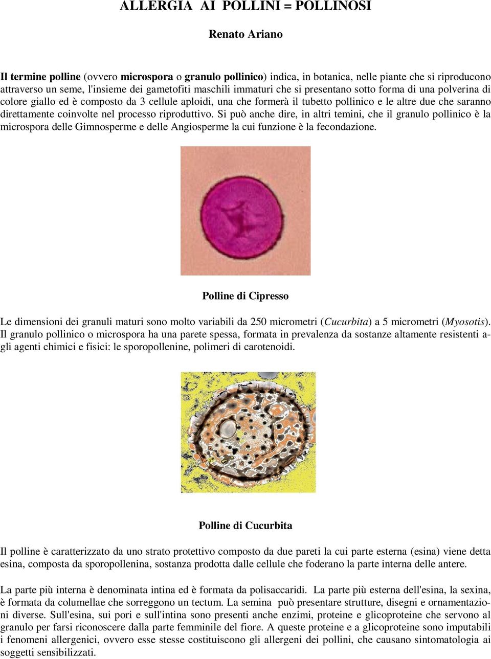 direttamente coinvolte nel processo riproduttivo. Si può anche dire, in altri temini, che il granulo pollinico è la microspora delle Gimnosperme e delle Angiosperme la cui funzione è la fecondazione.