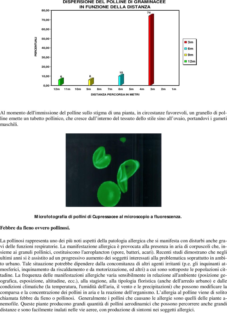 del tessuto dello stile sino all ovaio, portandovi i gameti maschili. Microfotografia di pollini di Cupressacee al microscopio a fluorescenza. Febbre da fieno ovvero pollinosi.