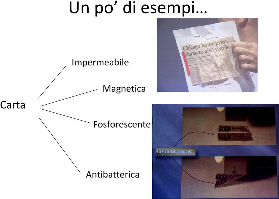 Magnetica Carta