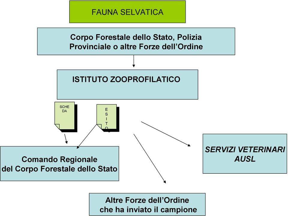 S S I I T T O O Comando Regionale del Corpo Forestale dello Stato