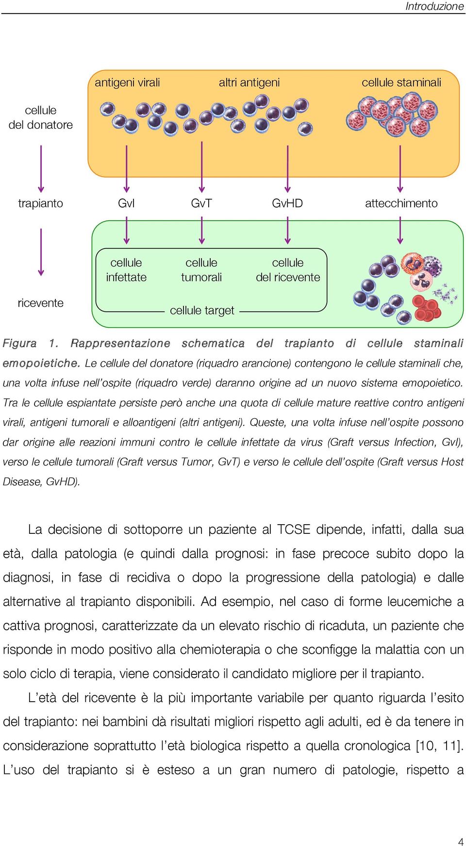 Le cellule del donatore (riquadro arancione) contengono le cellule staminali che, una volta infuse nell ospite (riquadro verde) daranno origine ad un nuovo sistema emopoietico.