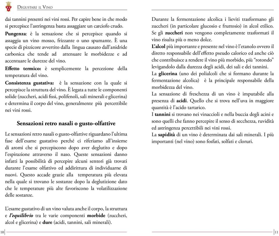 È una specie di pizzicore avvertito dalla lingua causato dall anidride carbonica che tende ad attenuare le morbidezze e ad accentuare le durezze del vino.