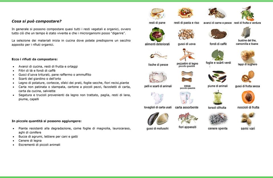 Ecco i rifiuti da compostare: Avanzi di cucina, resti di frutta e ortaggi Filtri di tè e fondi di caffè Gusci d uova triturati, pane raffermo o ammuffito Scarti del giardino o dell orto Legno di