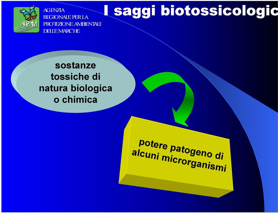 biologica o chimica potere