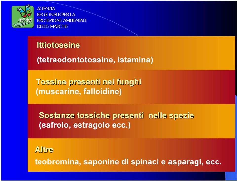 nelle spezie Sostanze tossiche presenti nelle spezie (safrolo,