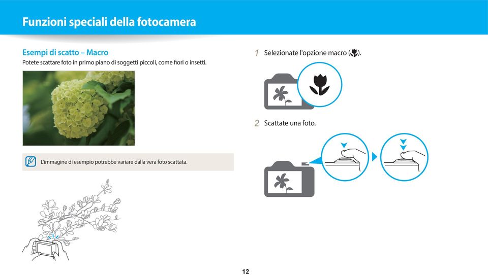 insetti. 1 Selezionate l'opzione macro ( ). 2 Scattate una foto.