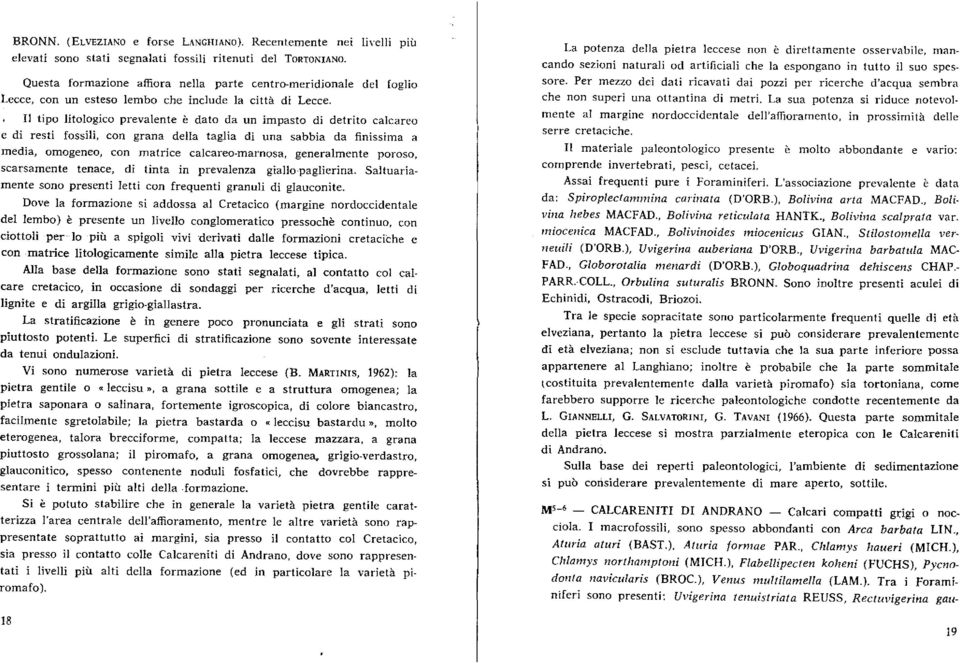 Il tipo litologico prevalente è dato da un impasto di detrito calcareo e di resti fossili, con grana della taglia di una sabbia da finissima a media, omogeneo, con matrice calcareo-marnosa,