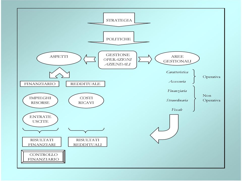 IMPIEGHI RISORSE COSTI RICAVI Finanziaria Straordinaria Non Operativa