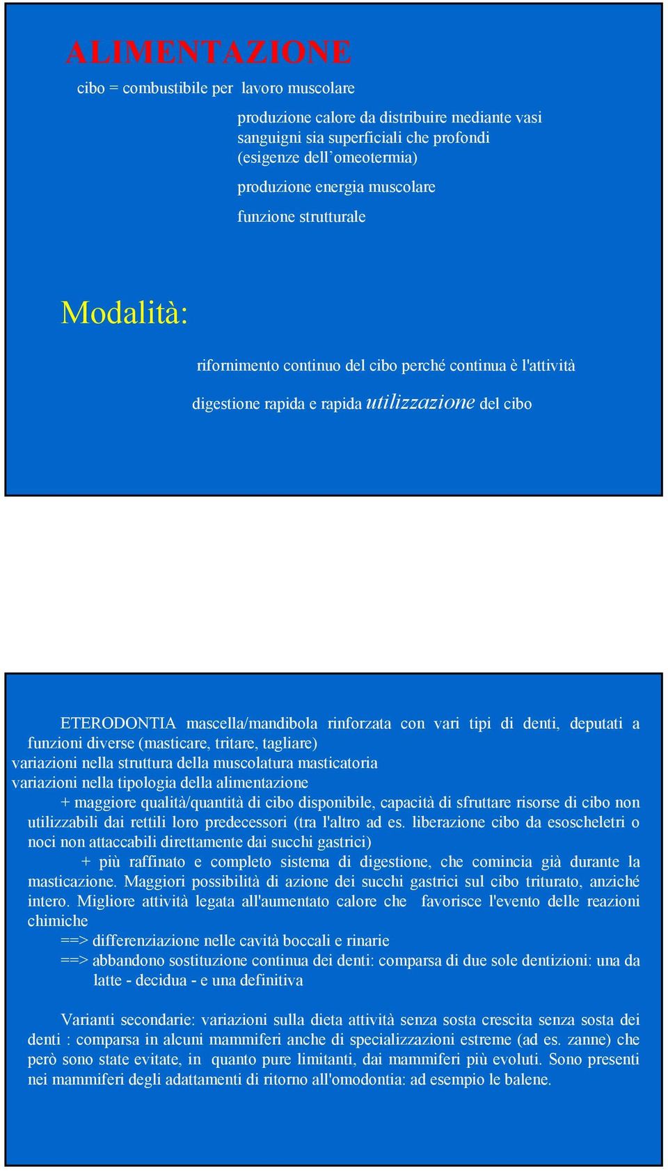 denti, deputati a funzioni diverse (masticare, tritare, tagliare) variazioni nella struttura della muscolatura masticatoria variazioni nella tipologia della alimentazione + maggiore qualità/quantità