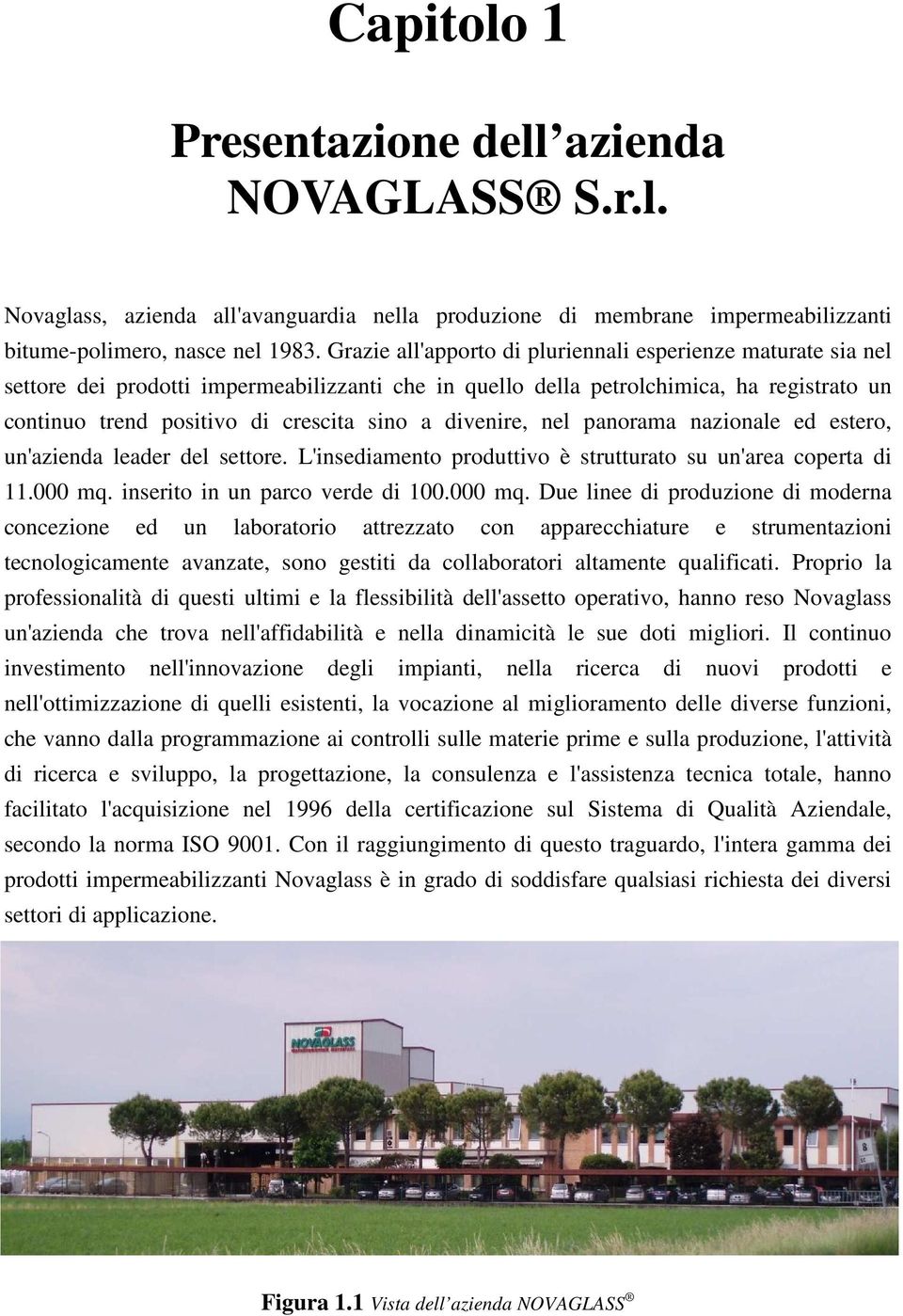 divenire, nel panorama nazionale ed estero, un'azienda leader del settore. L'insediamento produttivo è strutturato su un'area coperta di 11.000 mq.