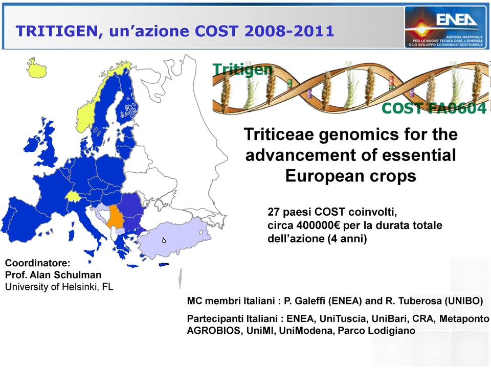 Alan Schulman University of Helsinki, FL MC membri Italiani : P. Galeffi (ENEA) and R.