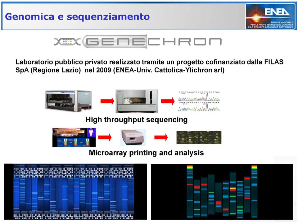 SpA (Regione Lazio) nel 2009 (ENEA-Univ.