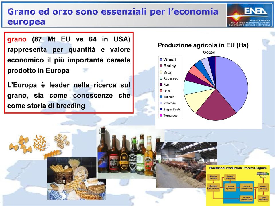 ricerca sul grano, sia come conoscenze che come storia di breeding Produzione EU crop production