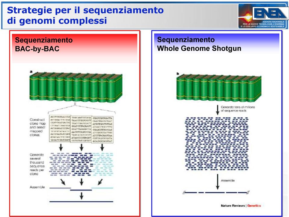 complessi Sequenziamento