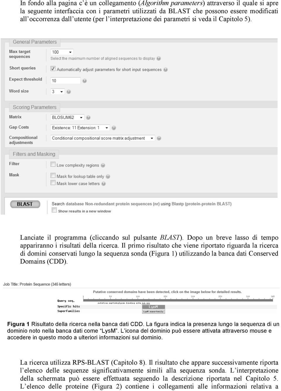 Il primo risultato che viene riportato riguarda la ricerca di domini conservati lungo la sequenza sonda (Figura 1) utilizzando la banca dati Conserved Domains (CDD).