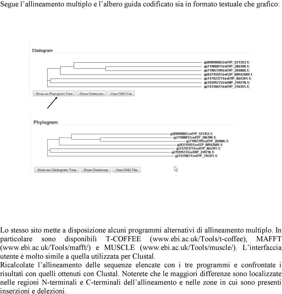 L interfaccia utente è molto simile a quella utilizzata per Clustal.