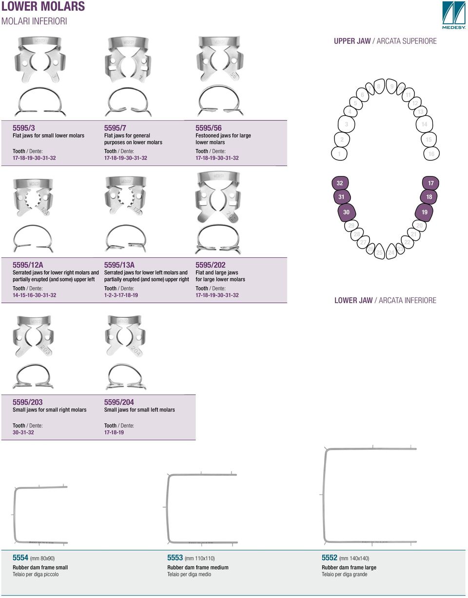 erupted (and some) upper right ---7-8- /0 Flat and large jaws for large lower molars 7-8---- 8 7 6 0 /0 Small jaws for small right molars /0 Small jaws for small left