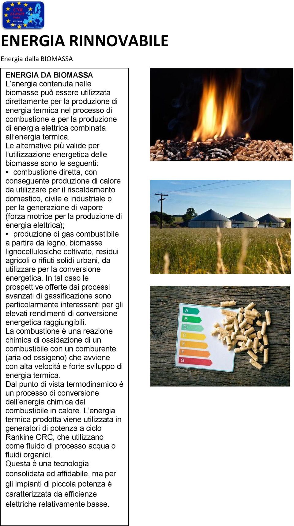 Le alternative più valide per l utilizzazione energetica delle biomasse sono le seguenti: combustione diretta, con conseguente produzione di calore da utilizzare per il riscaldamento domestico,